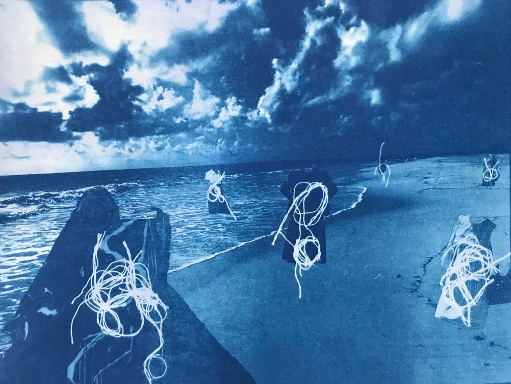 Orts, 2021, 5.8 x 8.3 in, Cyanotype mixed media. Meghan Murphy